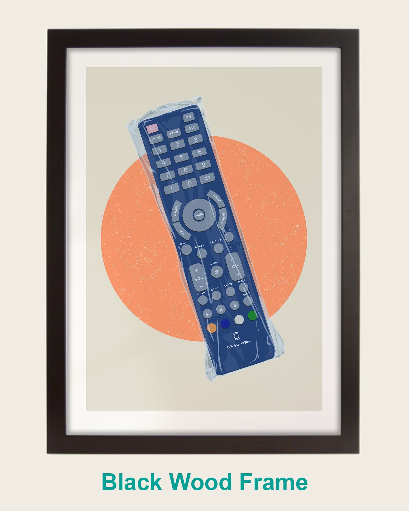 Plastic Covered TV Remote