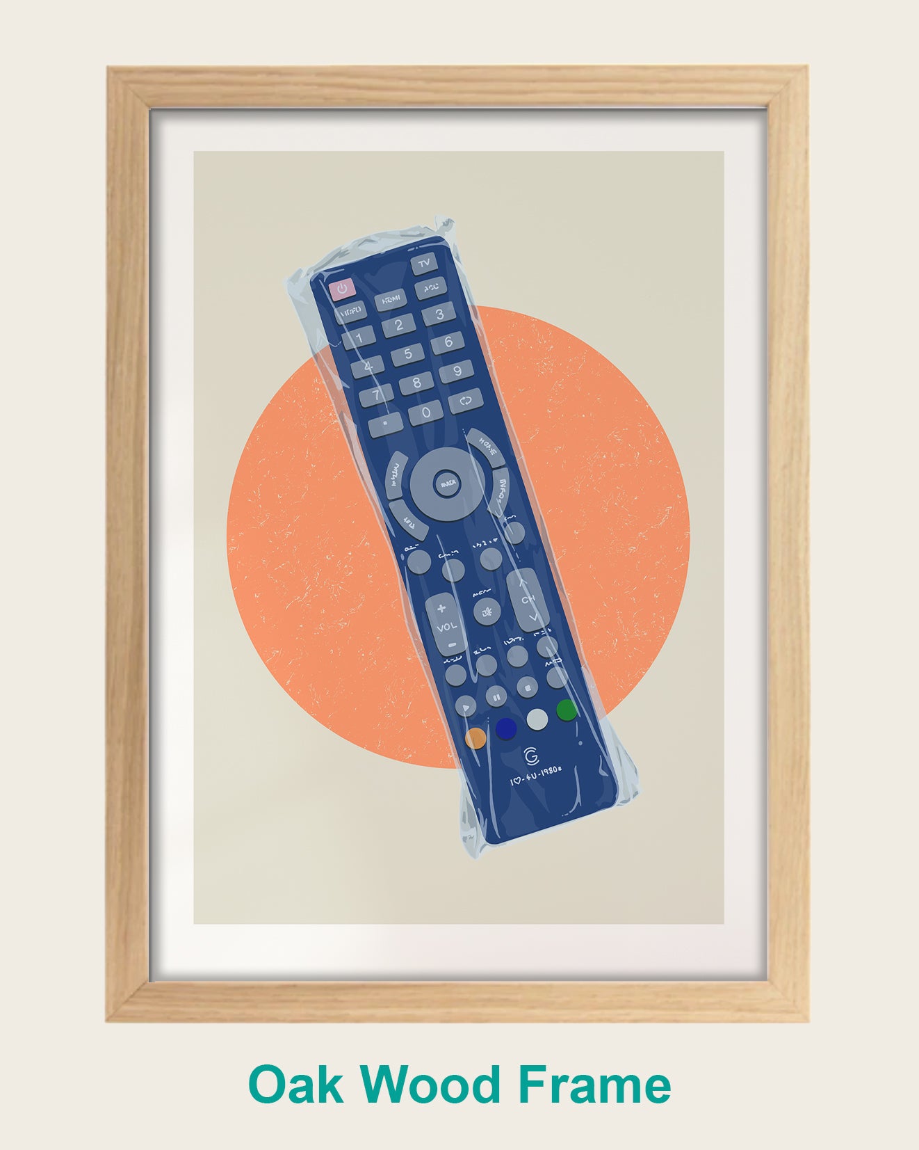 Plastic Covered TV Remote